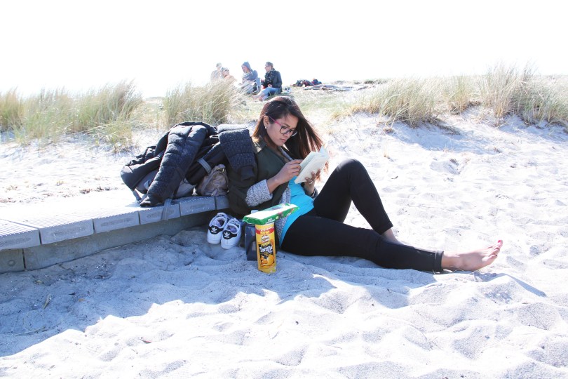 blogger from denmark