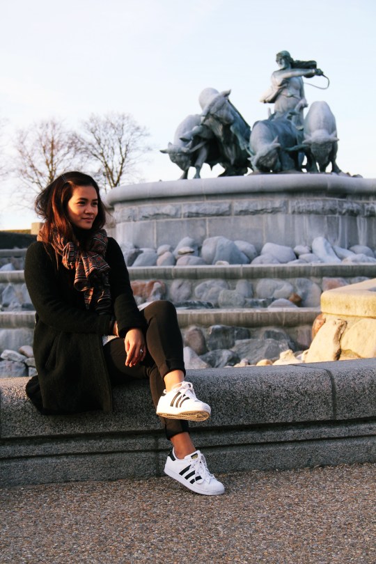 blogger from denmark