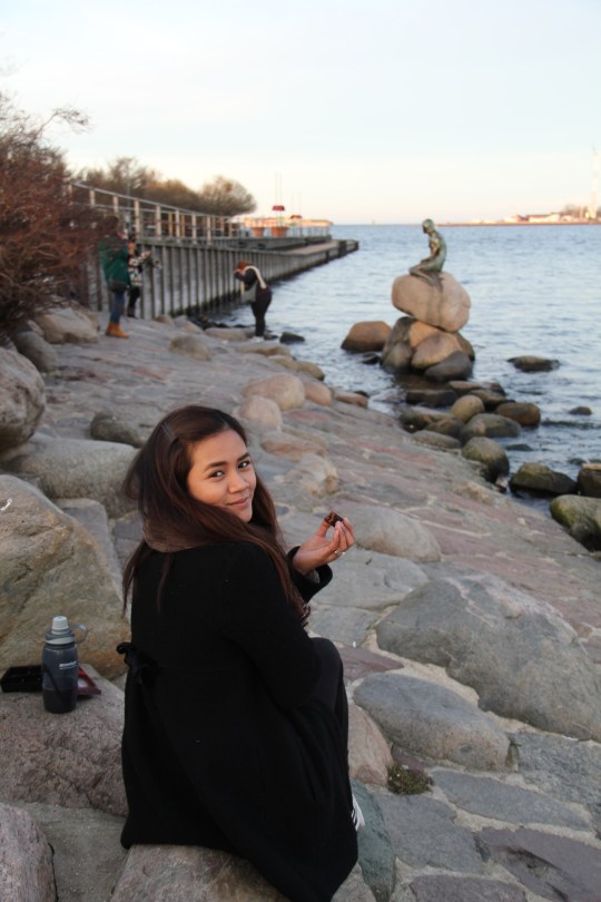 blogger from denmark