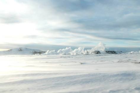 10731114_10205007577206997_81609929113770786_n