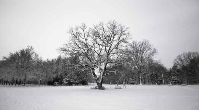 Tips to Fight Winter Depression